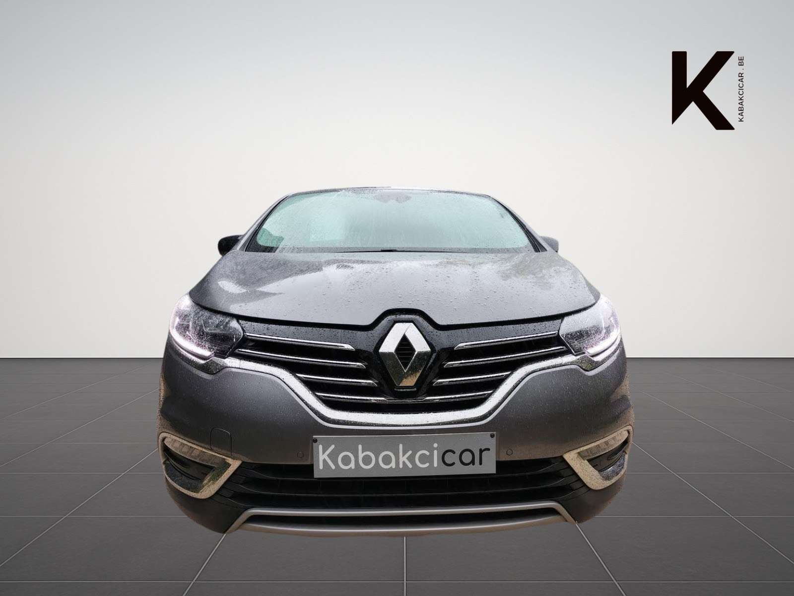Renault Espace Espace 1.6 dCi Energy Intens / Pano / Caméra / Cui