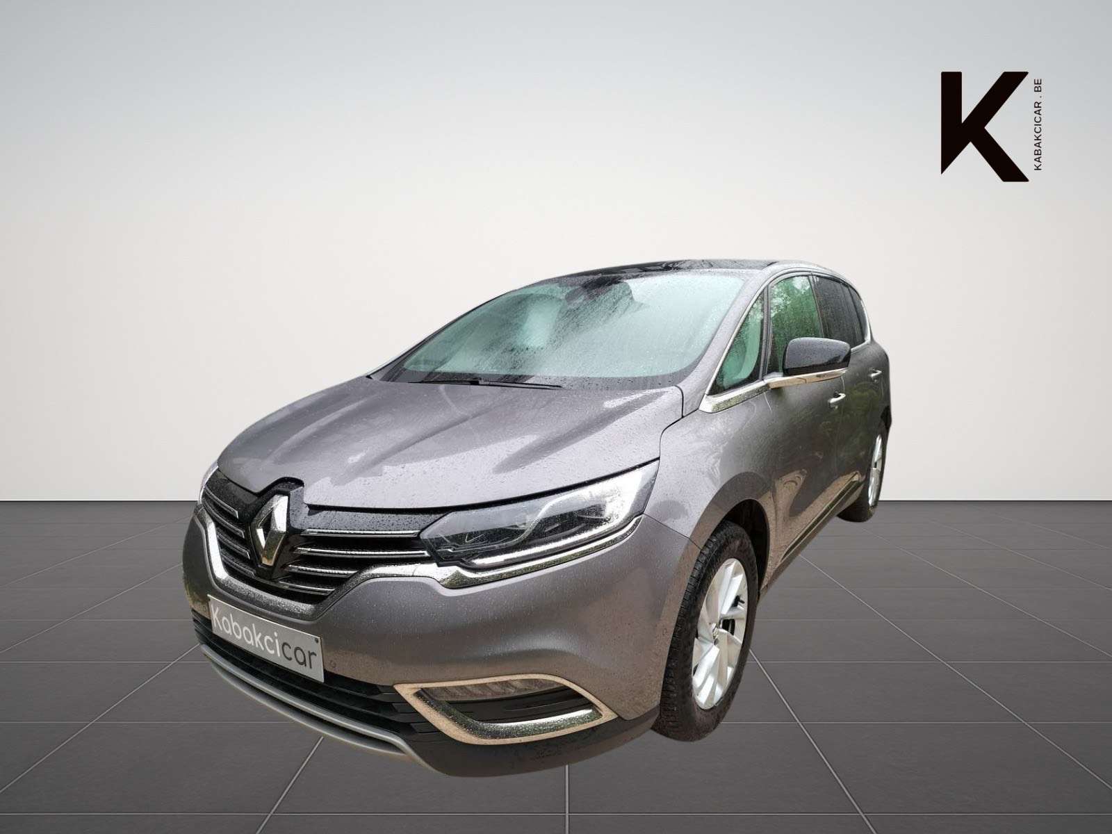 Renault Espace Espace 1.6 dCi Energy Intens / Pano / Caméra / Cui