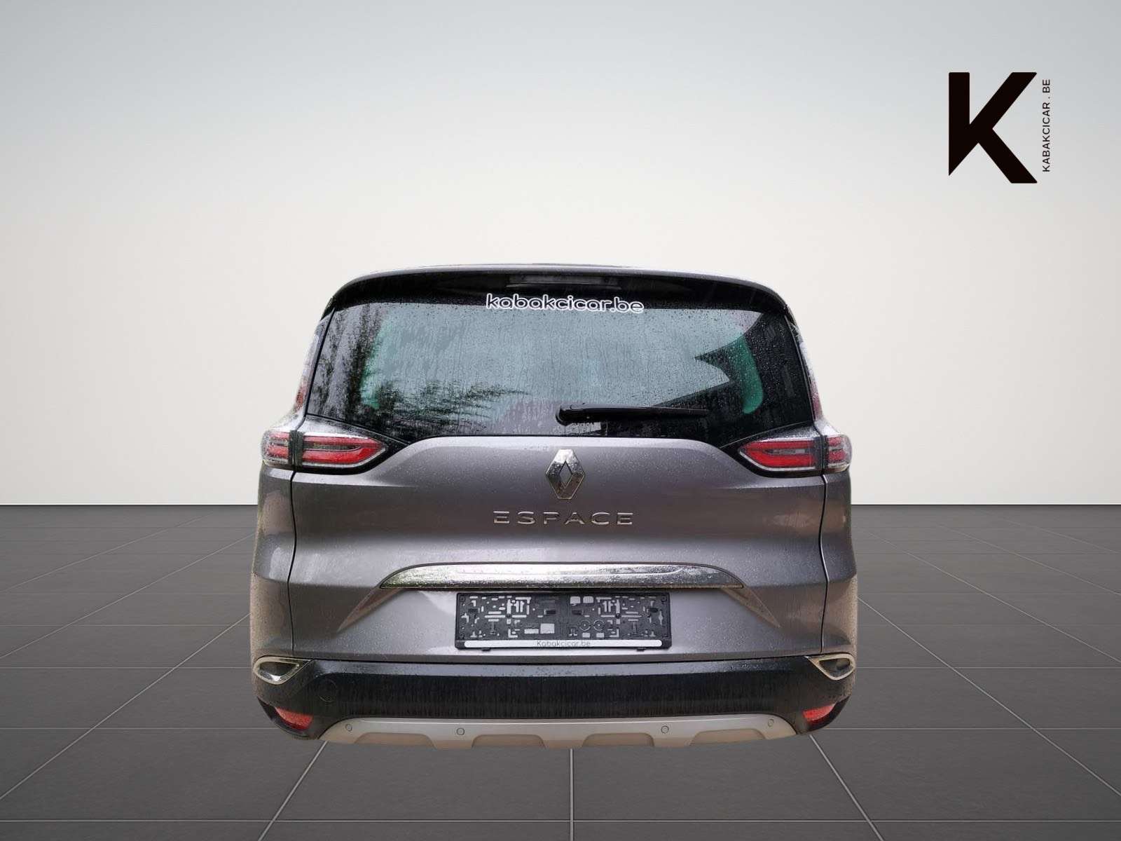 Renault Espace Espace 1.6 dCi Energy Intens / Pano / Caméra / Cui
