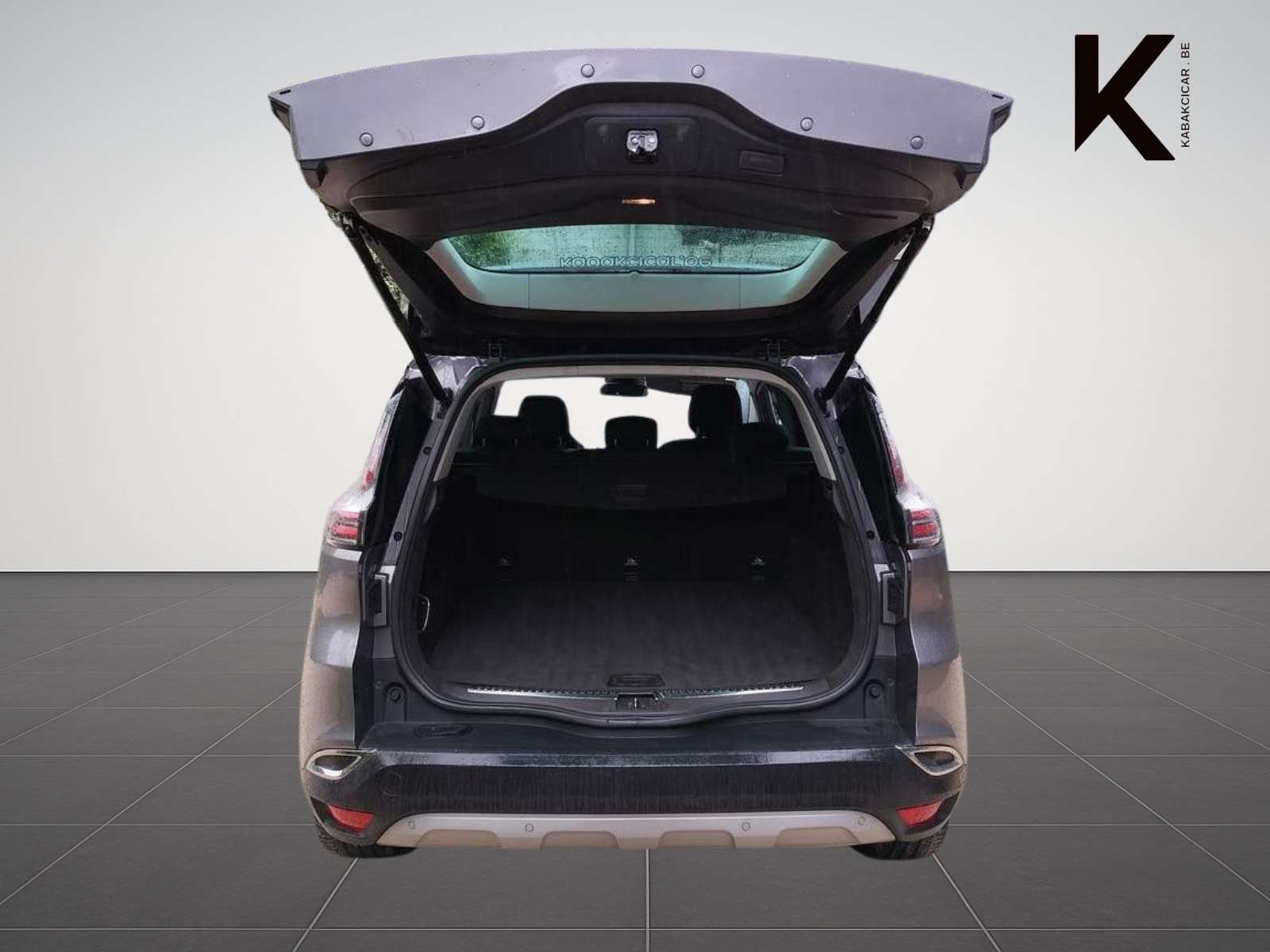 Renault Espace Espace 1.6 dCi Energy Intens / Pano / Caméra / Cui