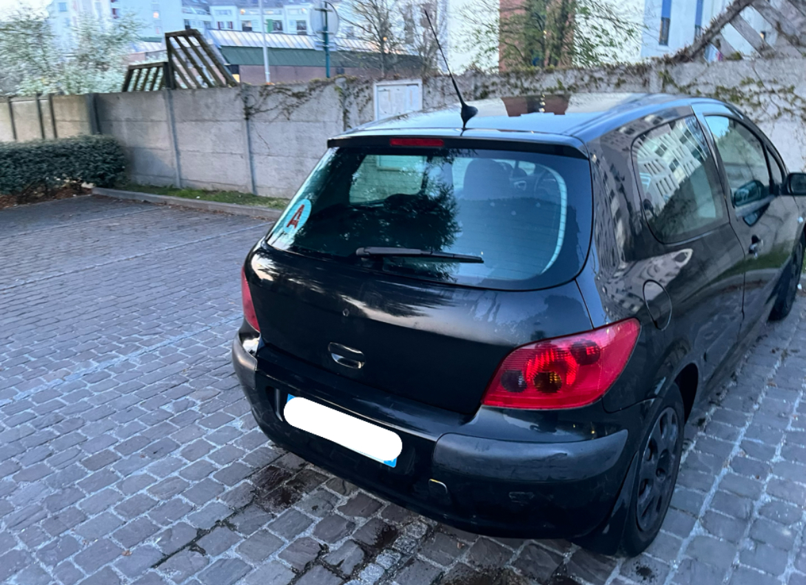 Peugeot 307 (2) 1.4 16v xr3P