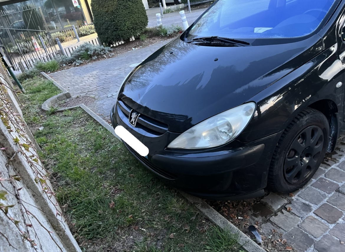 Peugeot 307 (2) 1.4 16v xr3P