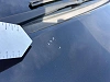 Opel Astra GTC 1.7 CDTi Enjoy Start + NAVI + CLIM thumbnail