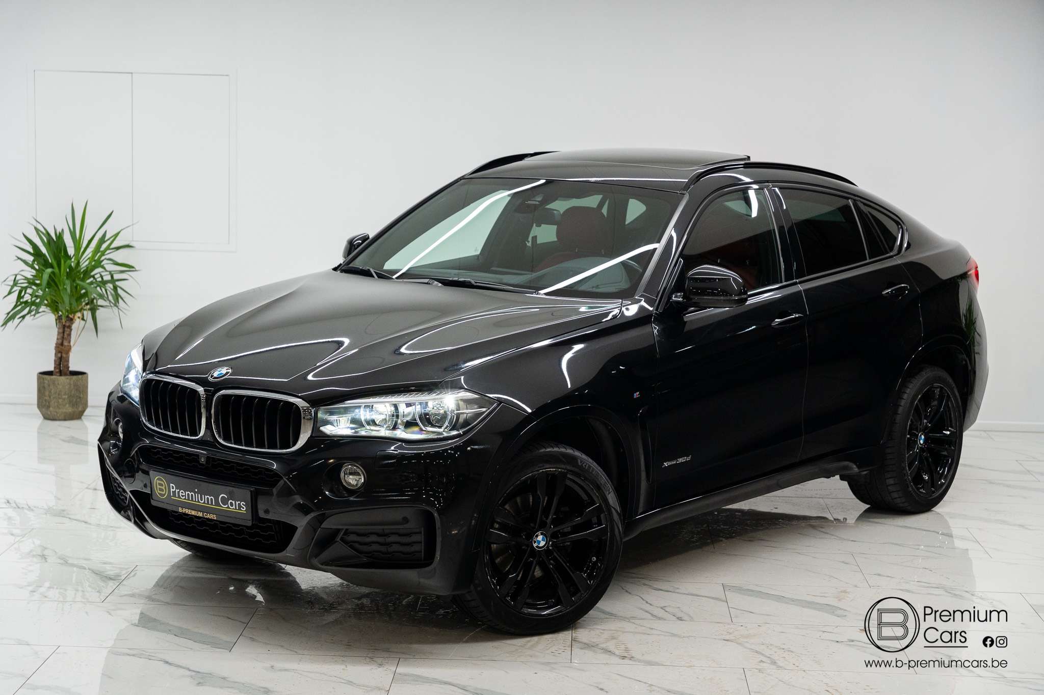 BMW X6 30d xDrive M-Pack Individual! TV! Mega Full options!
