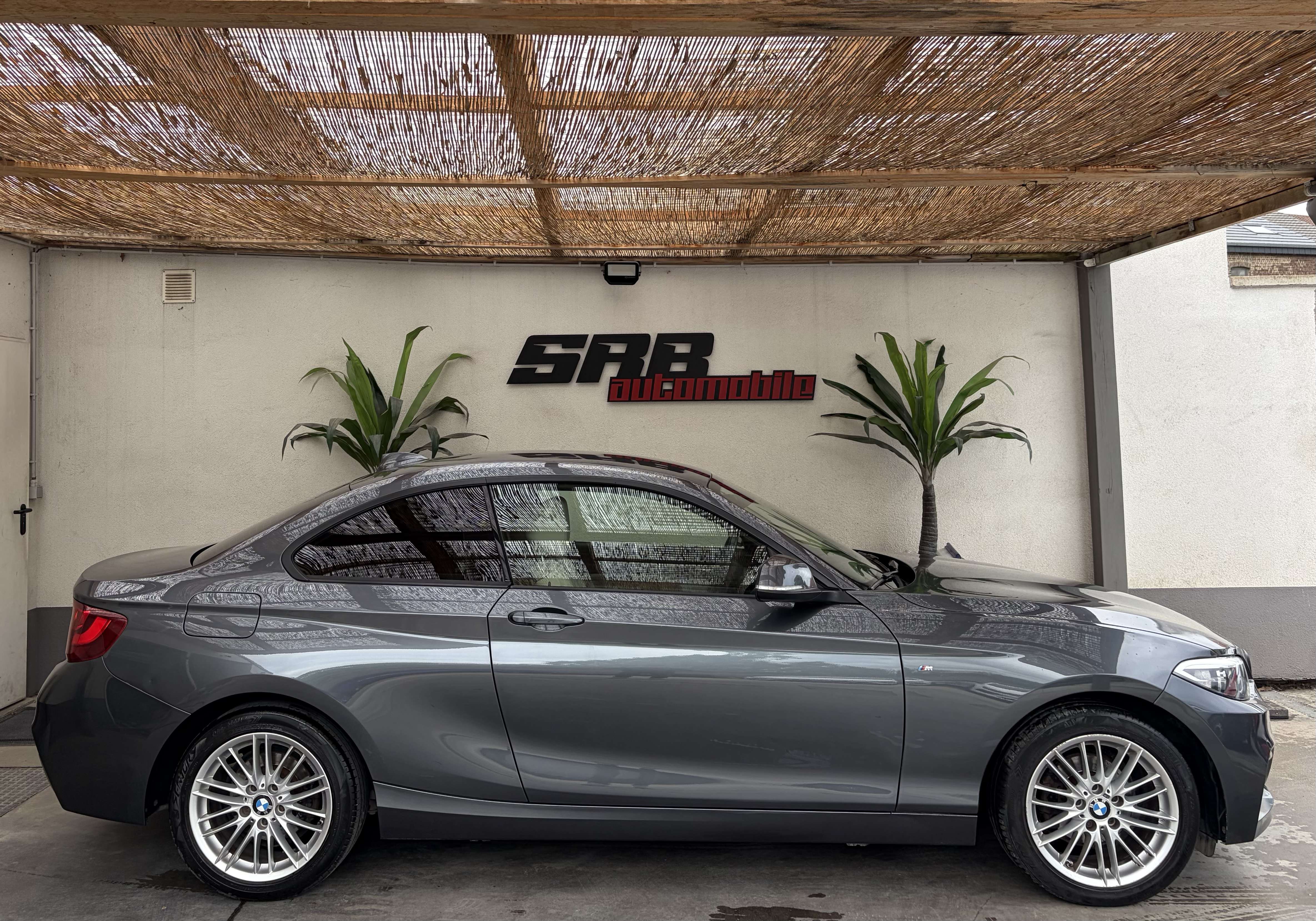 BMW 218 Bmw 218iA Look M