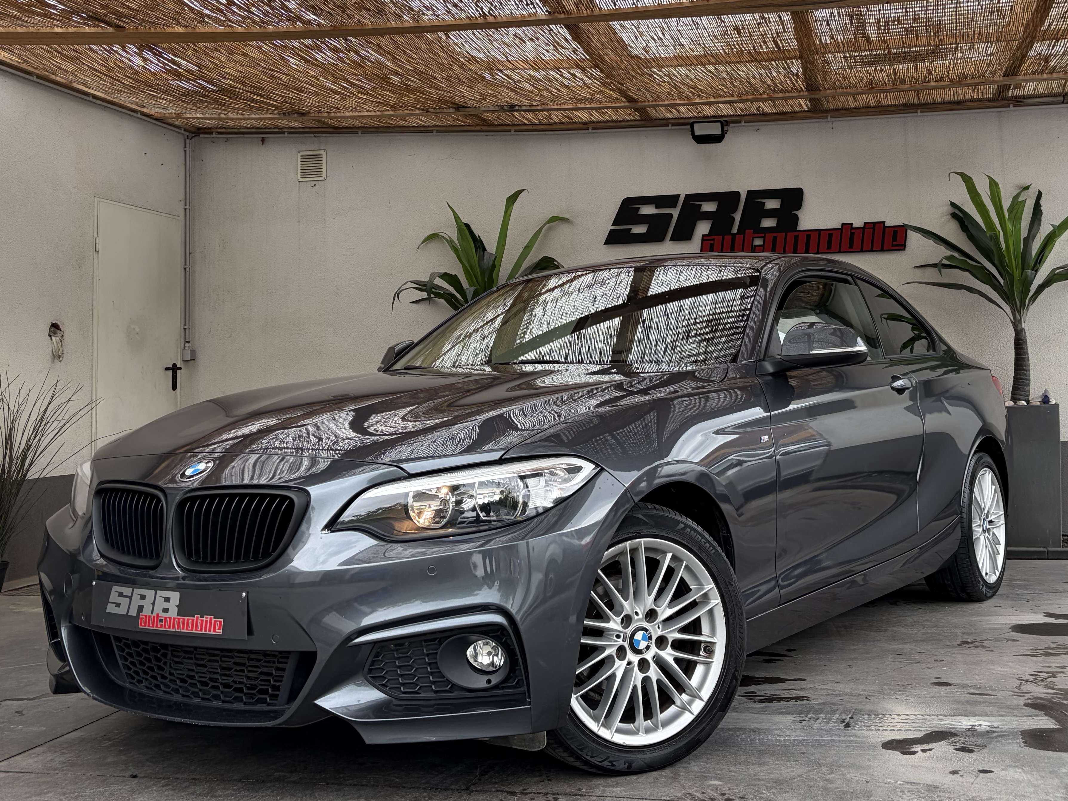 BMW 218 Bmw 218iA Look M