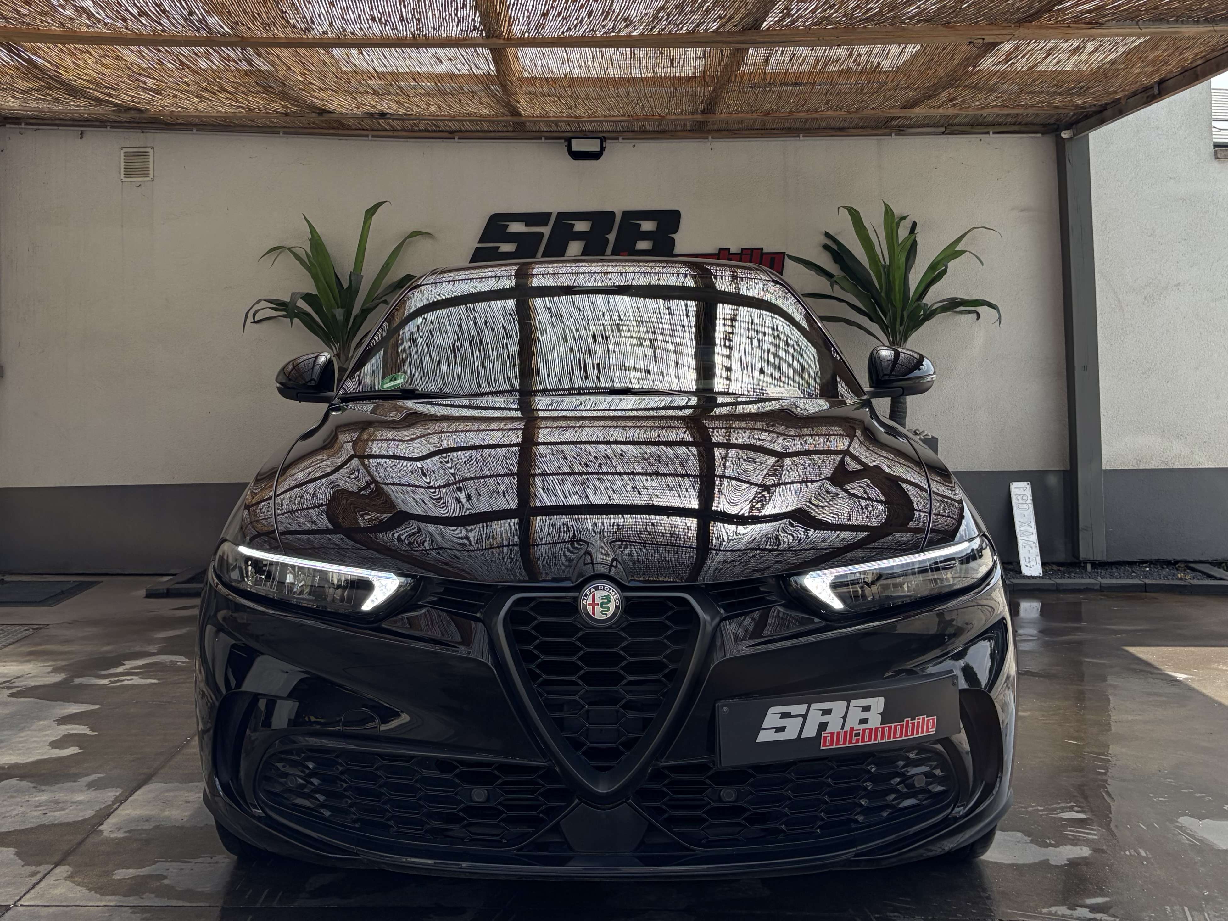 Alfa Romeo Tonale Alfa Romeo Tonale