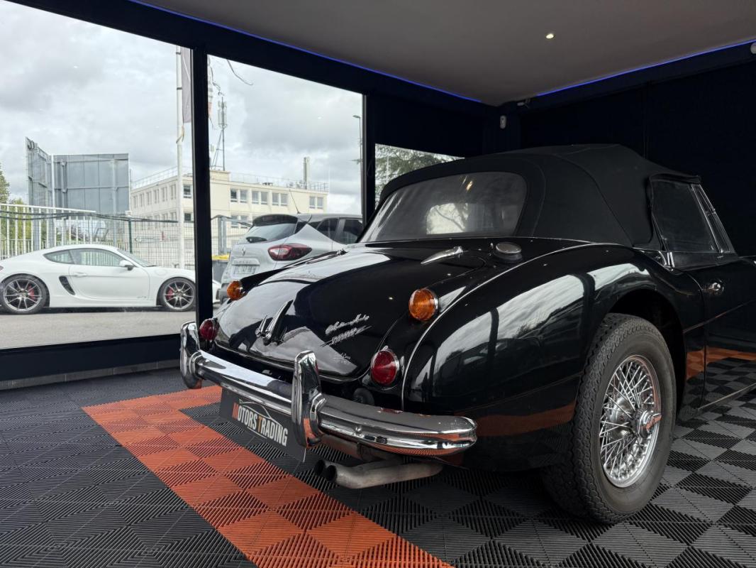 Austin-Healey 3000 BJ8
