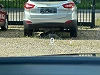 Ford Kuga PHEV 2.5 EcoBoost FWD Vignale FULL LED LASER/CUIR/CAMERA/ACC CRUISE/CARPLAY thumbnail