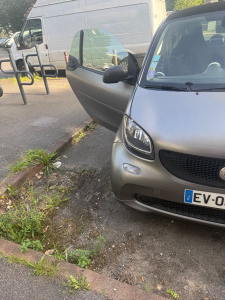 Smart Fortwo III 1.0 BRABUS STYLE BVA6