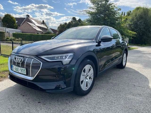 Audi Q8 e-tron E-Tron 95 kWh 55 Quattro Advanced *Navi*Cam*Leder*Keyless*Lane* BTW incl