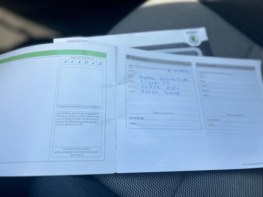Skoda Fabia Experience
