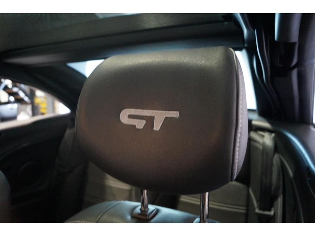Renault Megane CC 2.0 TCe 180 Euro 5 III GT PHASE 1