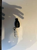 Mercedes-Benz Sprinter L2h2 314 CDI airco navi thumbnail