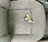 Dacia Duster 1.5 dCi 110 4X2 PRESTIGE **1ère MAIN** thumbnail