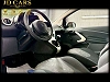 Ford Ka/Ka+ KA 1.2 ESSENCE ‼️GARANTIE 1 AN CTOK‼️ thumbnail