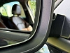 Alfa Romeo Stelvio 2.2 JTD Super - Garantie thumbnail