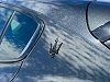 Maserati Grecale 2.0 Turbo MHEV Modena NETTO 48.347€ thumbnail