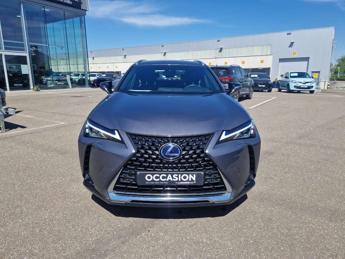 Lexus UX 250h BUSINESS LINE PLUS