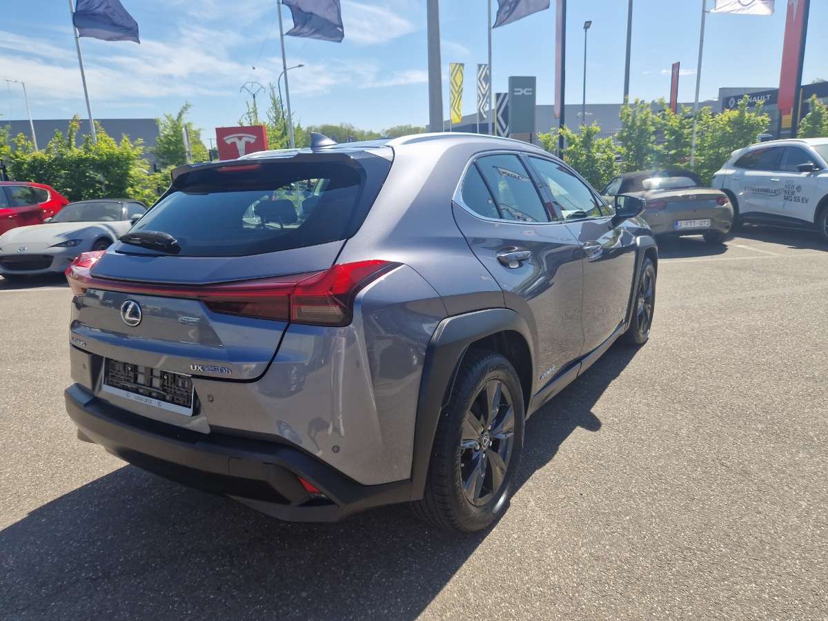 Lexus UX 250h BUSINESS LINE PLUS
