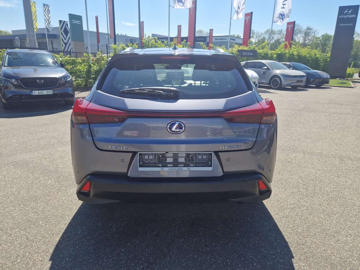 Lexus UX 250h BUSINESS LINE PLUS