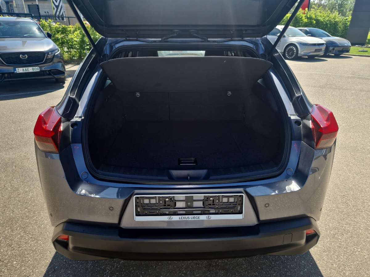 Lexus UX 250h BUSINESS LINE PLUS
