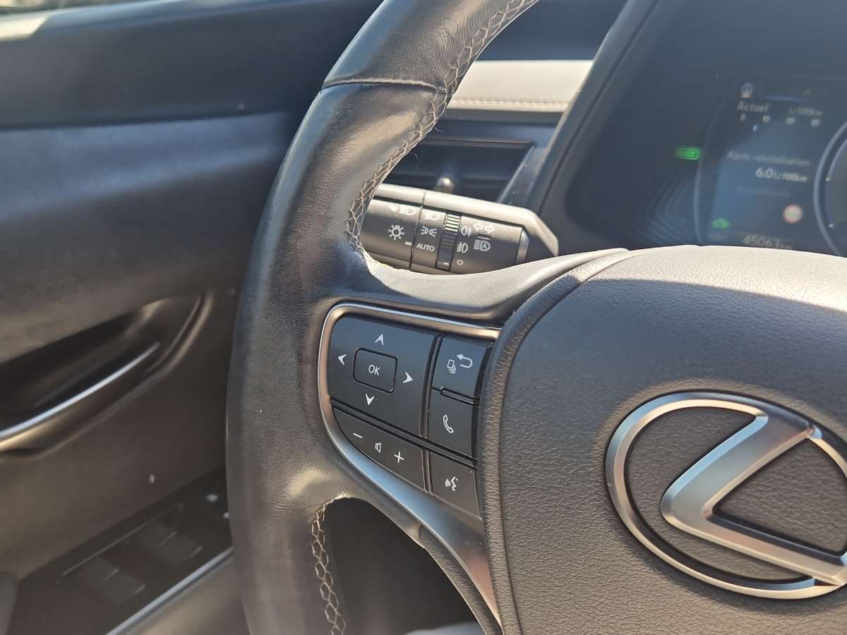 Lexus UX 250h BUSINESS LINE PLUS