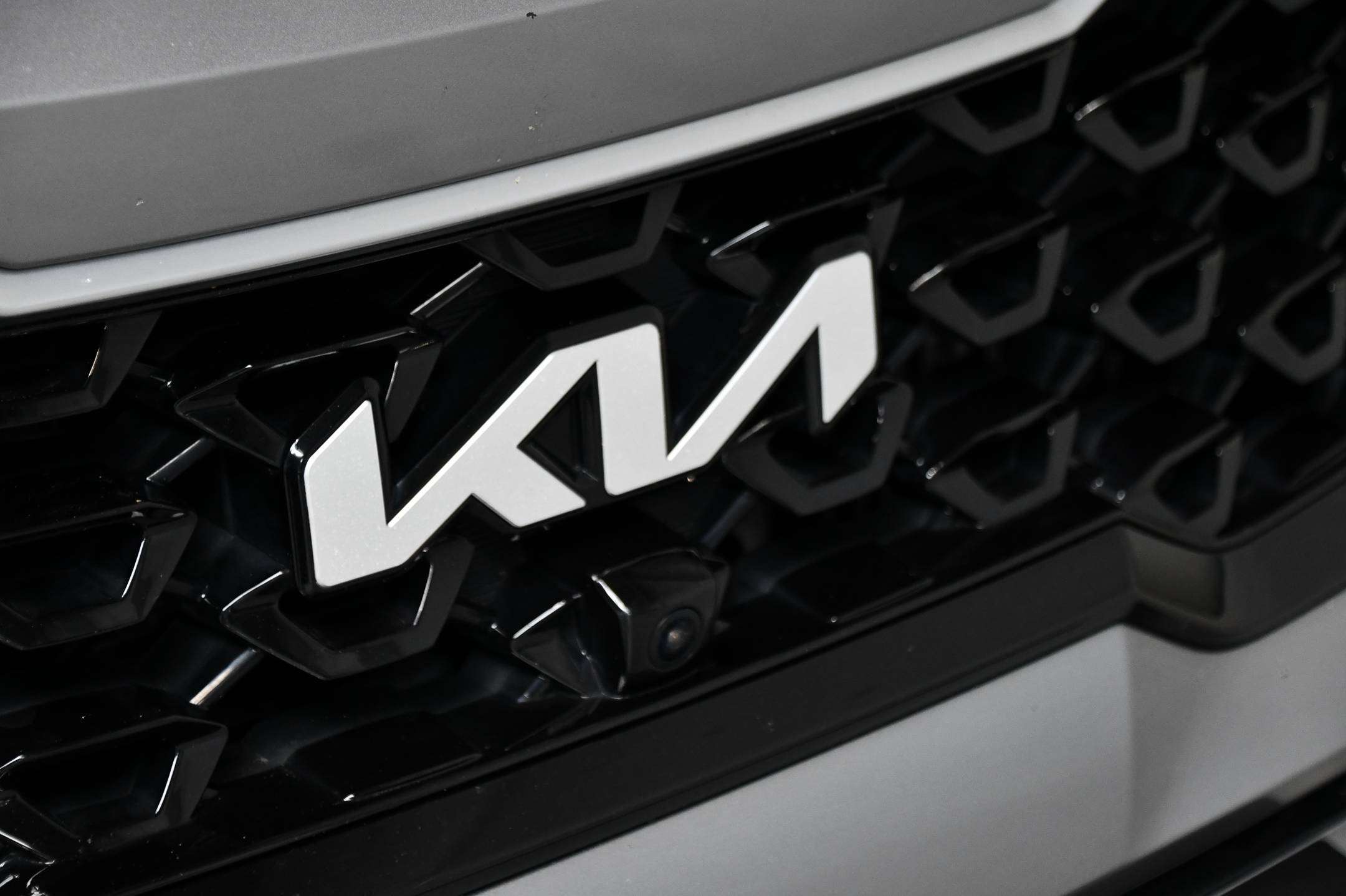 Kia Sorento PHEV - 1.6 TGI - AWD Pace - 7pl. - Zetelventilatie - Trekhaak - 360°