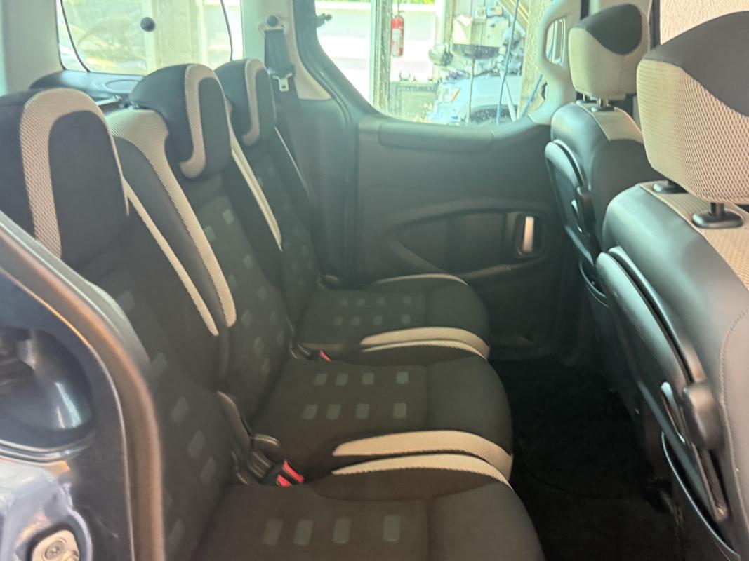 Citroen Berlingo Multispace 1.6 HDi 90 XTR DANGEL 4X2