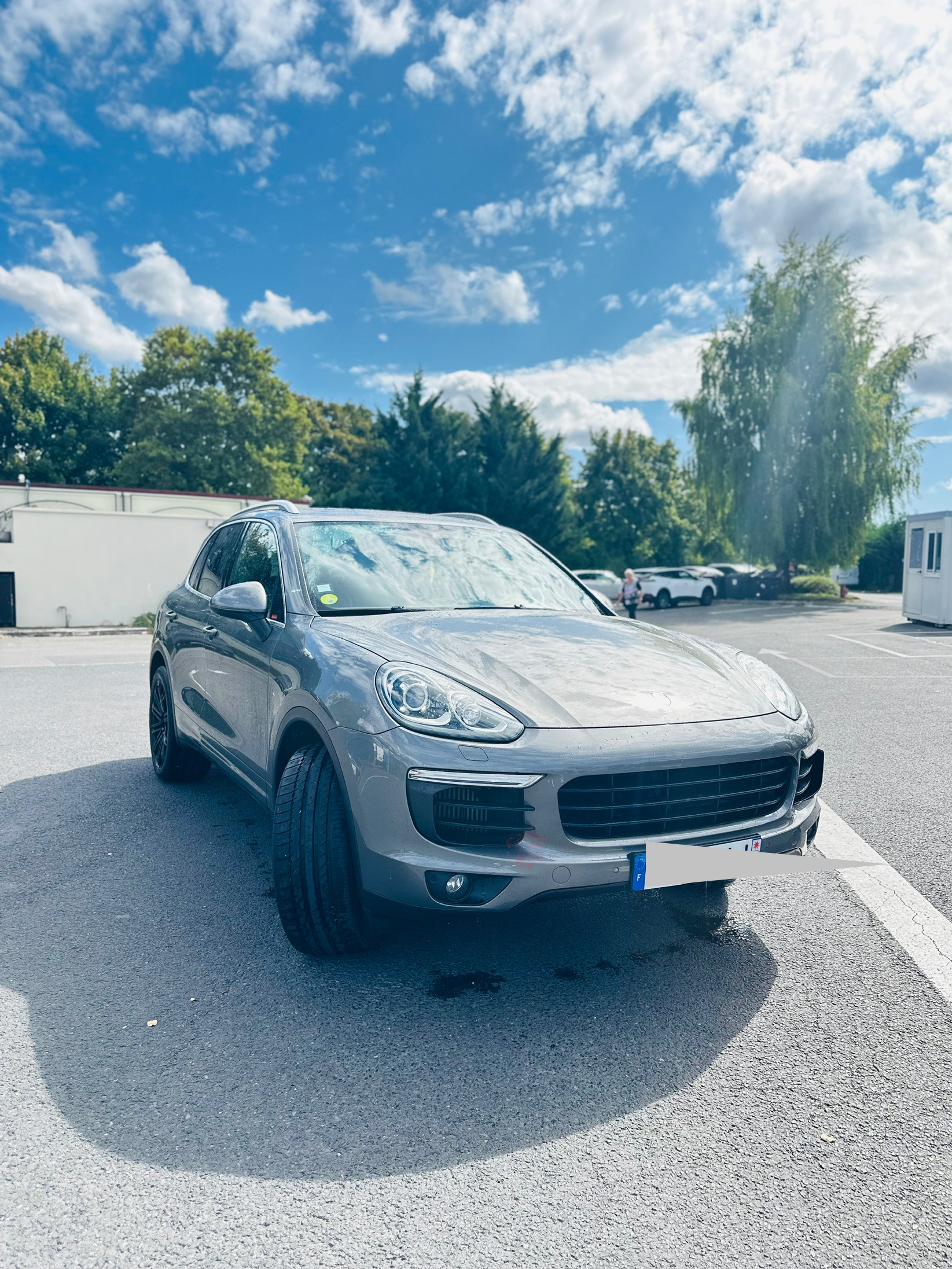 Porsche Cayenne II (2) 3.0 TD PLATINUM EDITION TIPTRONIC