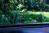Volvo XC60 T8 R-Design AWD Pano HarmanKardon BTWwagen thumbnail