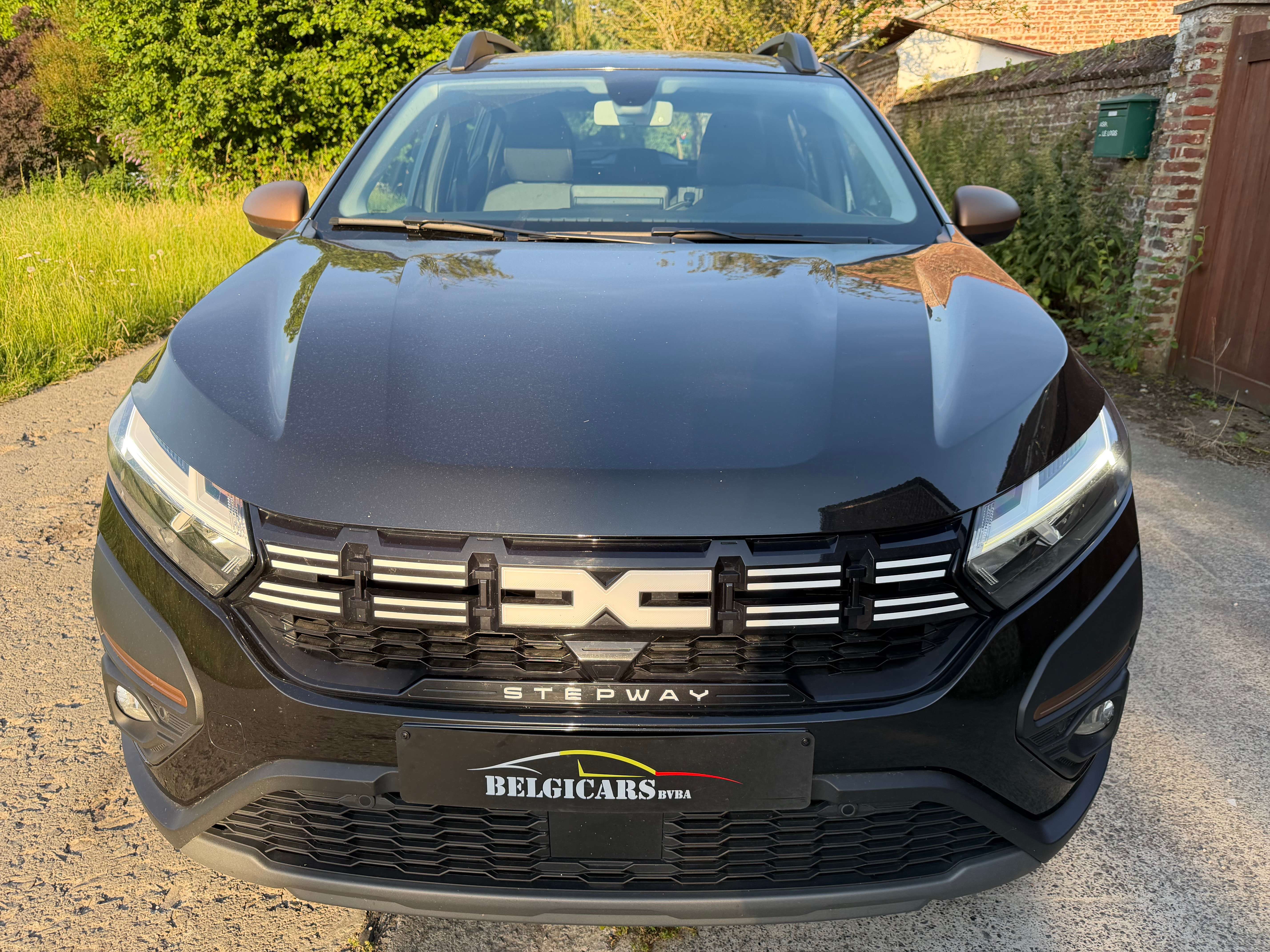 Dacia Sandero Stepway 1.0 TCe Extreme *CAMERA*GPS*CARPLAY*