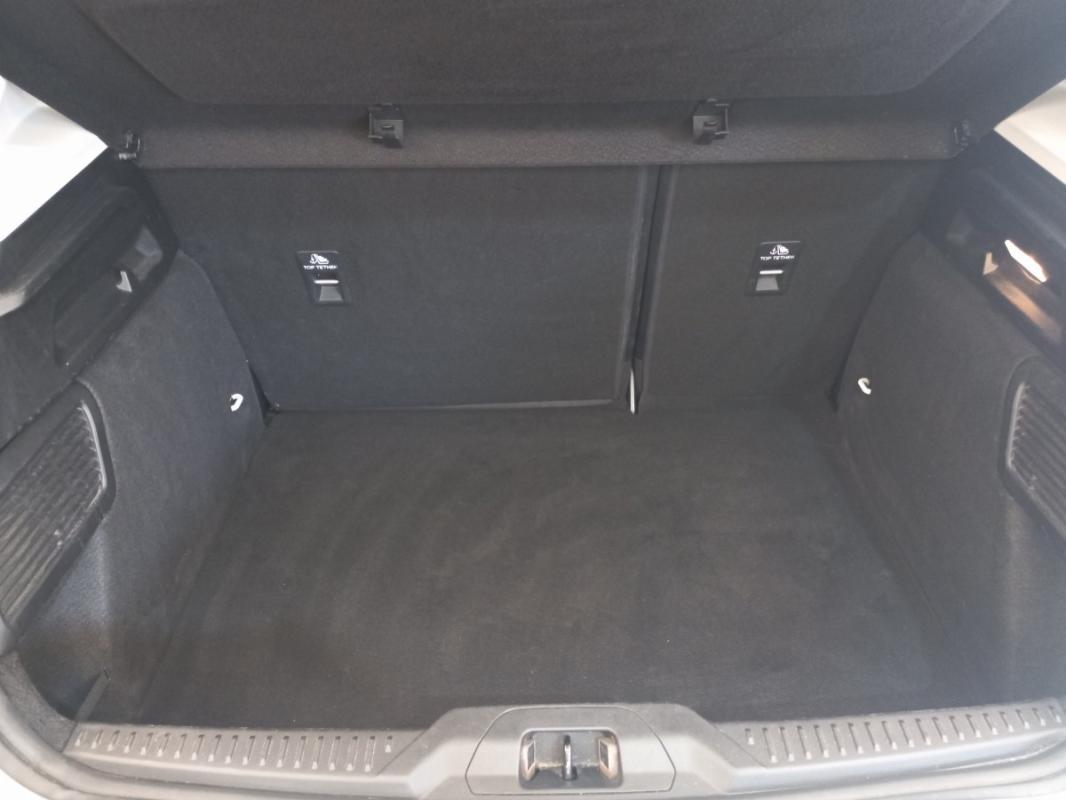 Ford Focus IV 5P - 1.5 EcoBlue 95ch S&S Trend Business