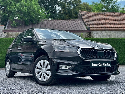 Skoda Fabia Fabia 1.0 TSI Selection DSG