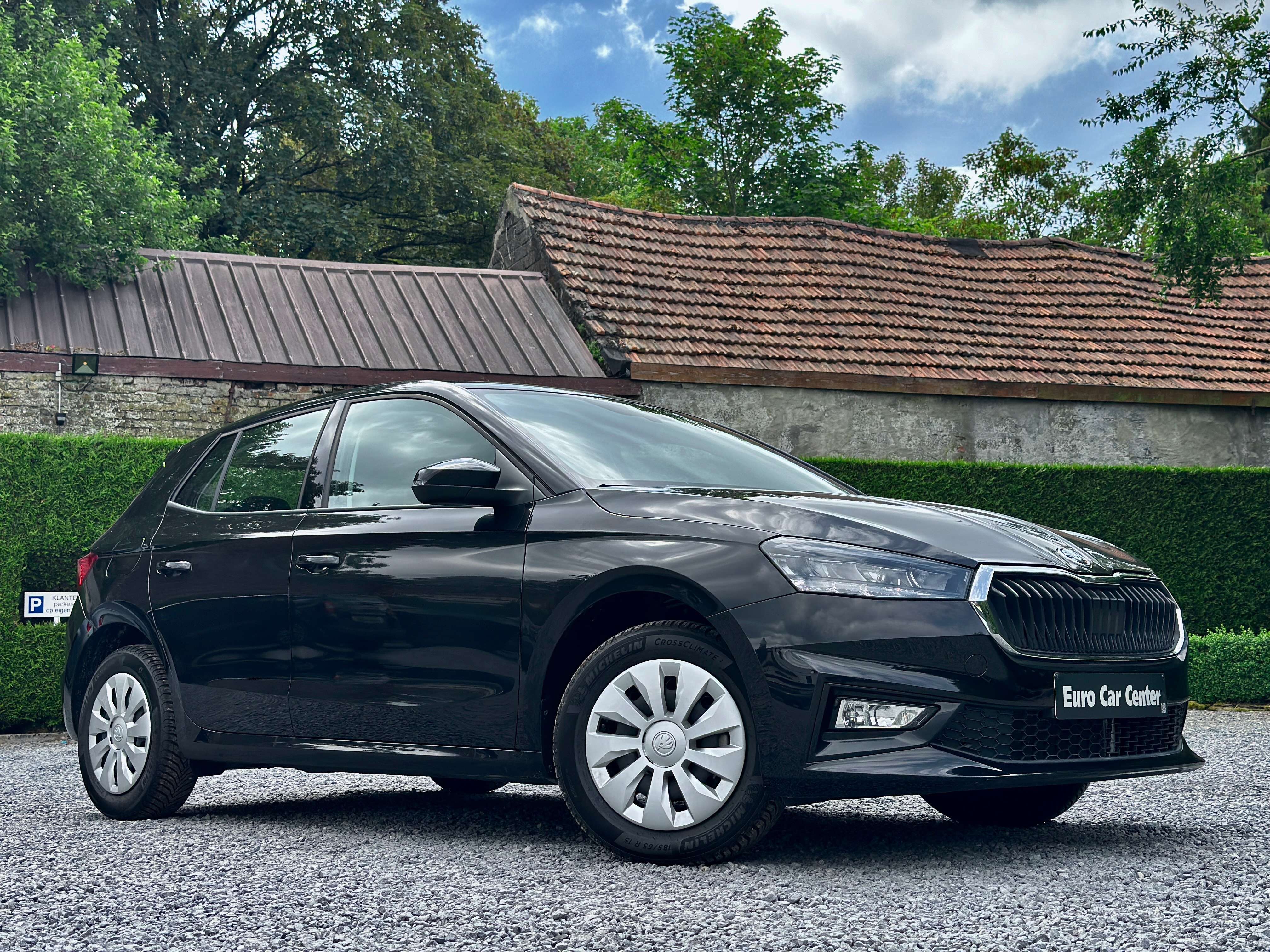 Skoda Fabia Fabia 1.0 TSI Selection DSG