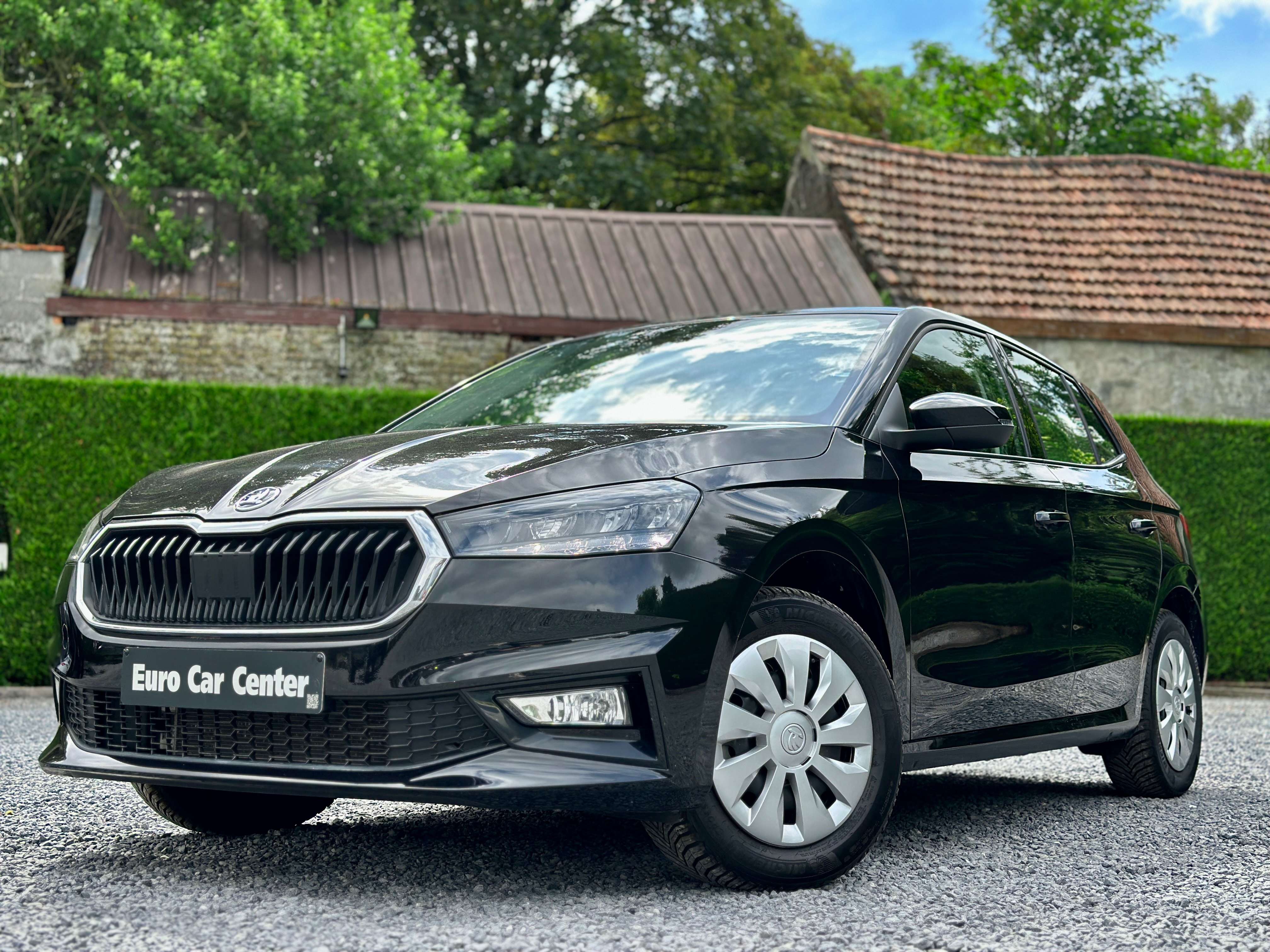 Skoda Fabia Fabia 1.0 TSI Selection DSG