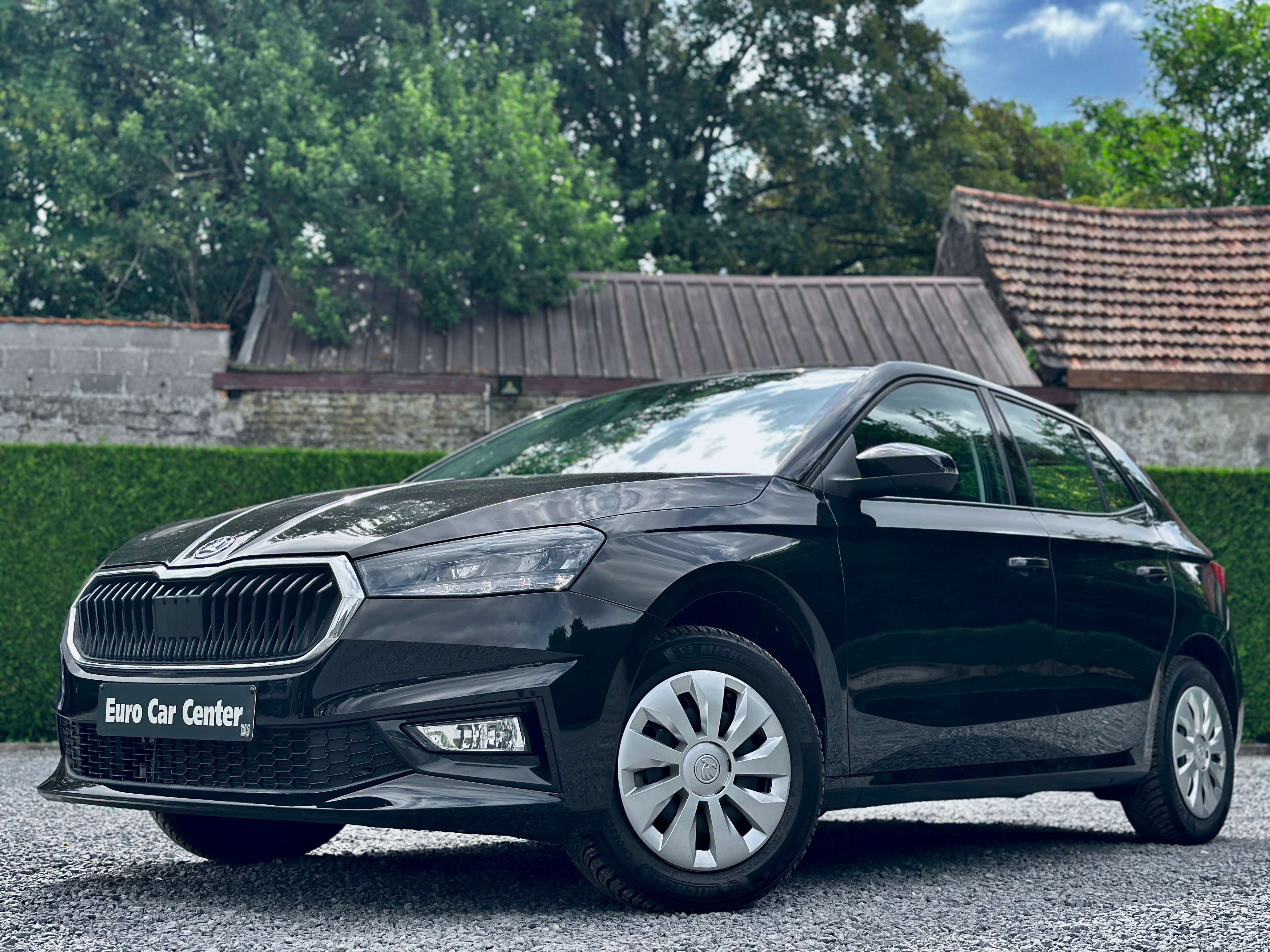 Skoda Fabia Fabia 1.0 TSI Selection DSG