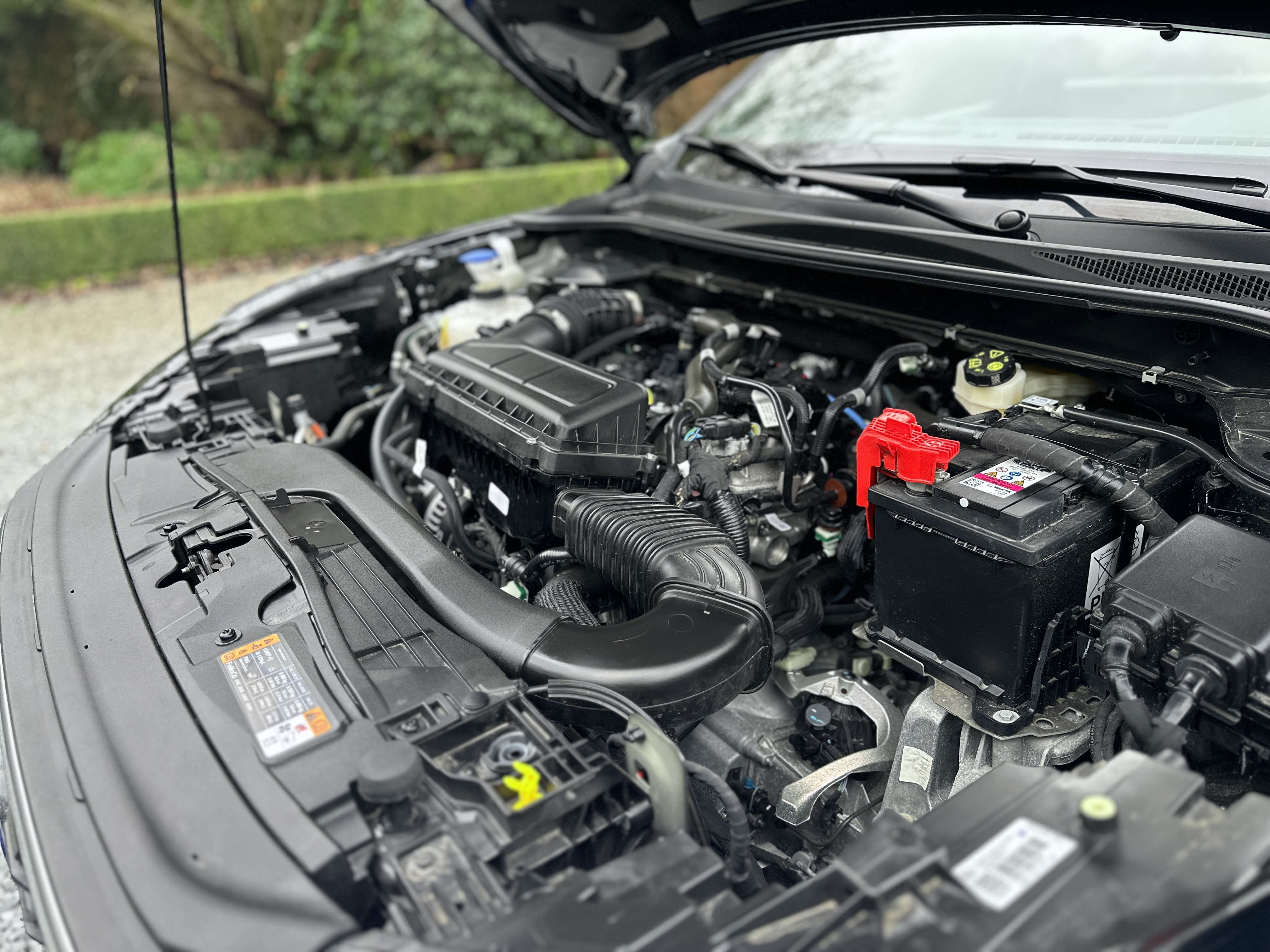 Ford Kuga 1.5 ST-Line X EcoBoost / BANG&OLUFSEN / 360 CAMERA