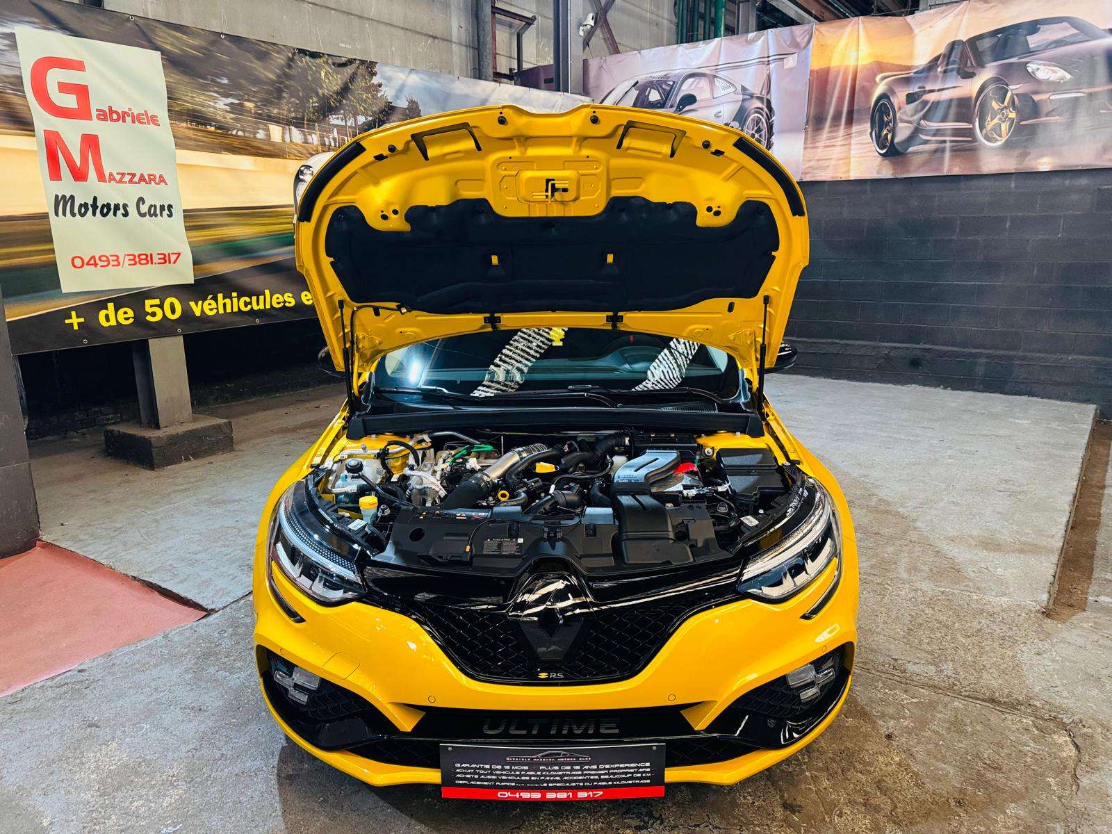 Renault Megane 1.8 TCe R.S. 300 Ultimate Recaro Carbon BOSE