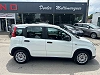 Fiat Panda Panda 1.0i MHEV CarPlay Clim Auto Garantie 12 mois thumbnail