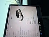 Tesla Model 3 DUAL MOTOR AWD GRANDE AUTONOMIE thumbnail