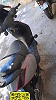 PIAGGIO ZIP 2T thumbnail