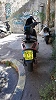 PIAGGIO ZIP 2T thumbnail