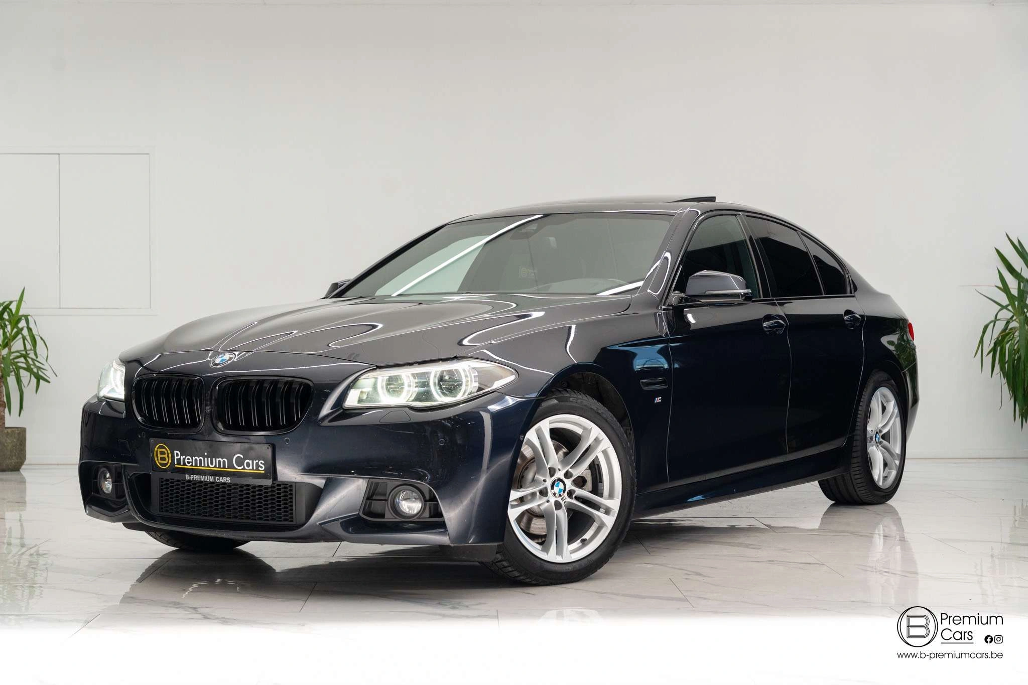 BMW 520 520D M-Pakket Facelift! Full!! Open dak! Camera!