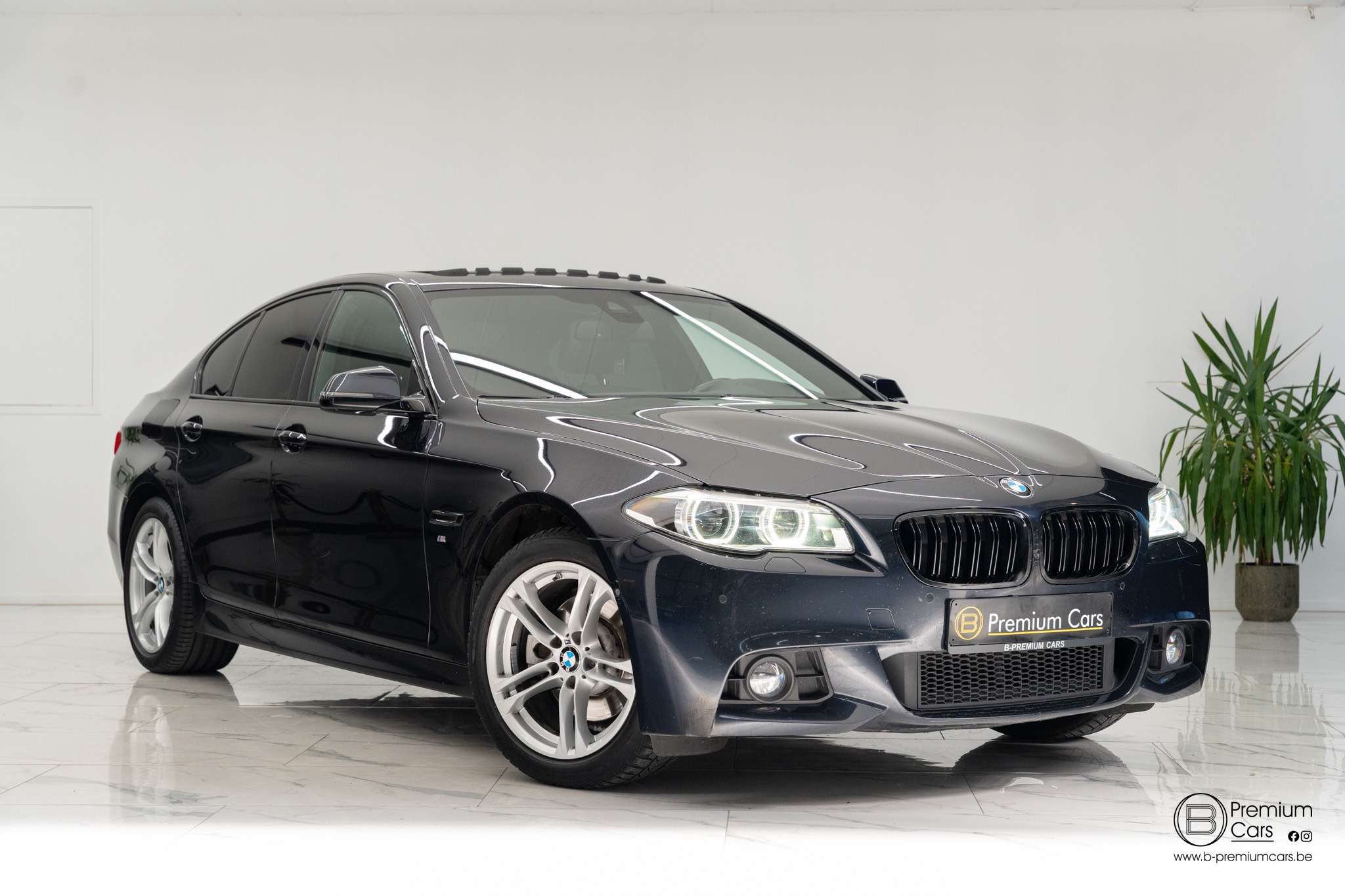 BMW 520 520D M-Pakket Facelift! Full!! Open dak! Camera!
