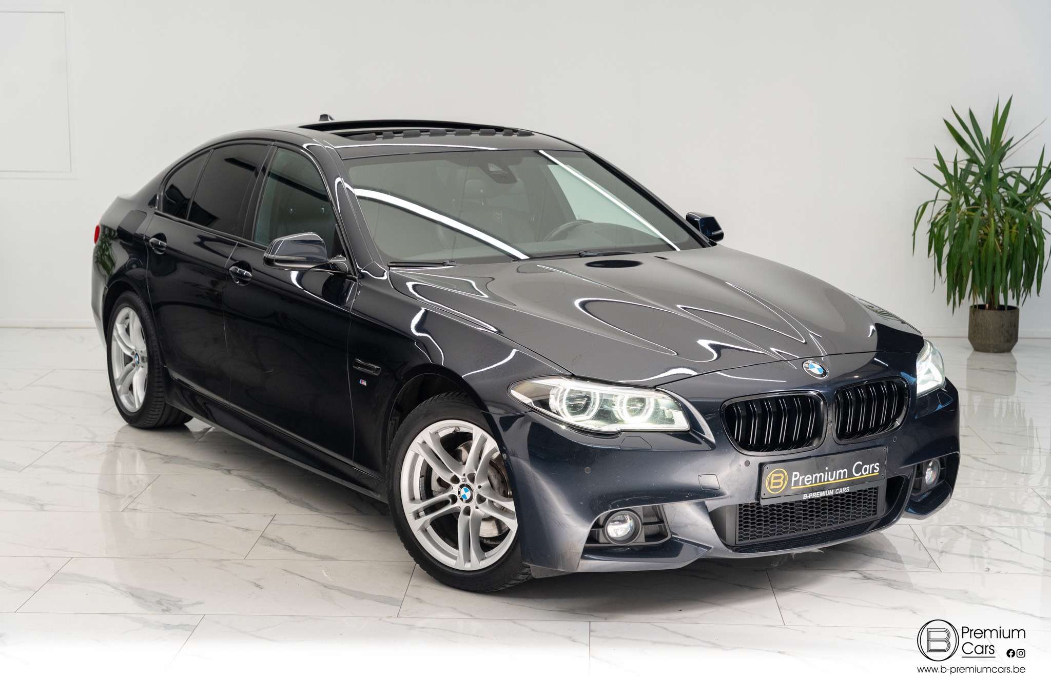 BMW 520 520D M-Pakket Facelift! Full!! Open dak! Camera!