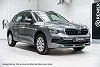 Skoda Kamiq 1.0 TSi 116 Limited Family Plus Edition thumbnail