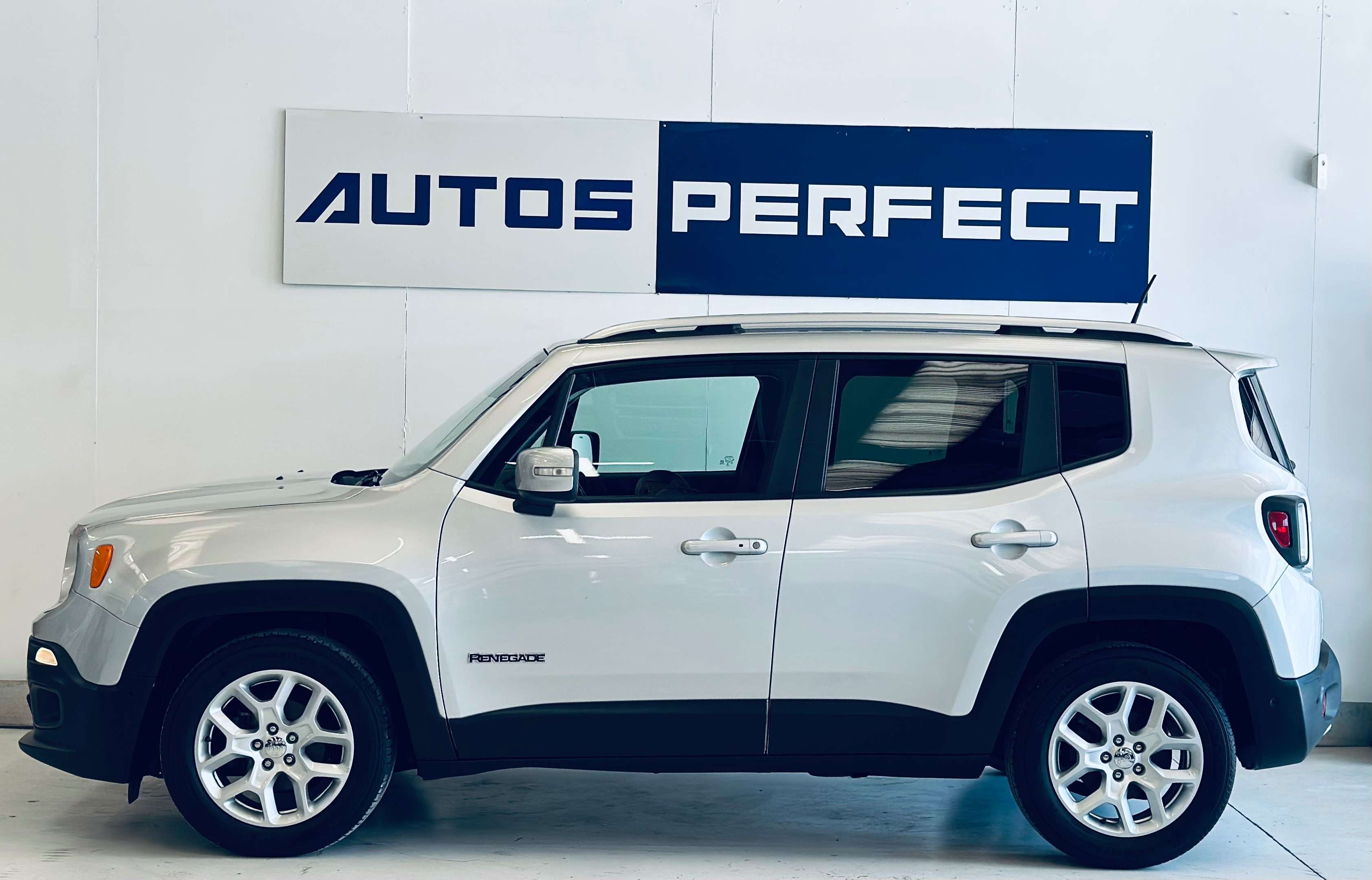 Jeep Renegade 1.6 MJD Limited PDC NAVI CRUISE CLIM BIZONE JA17 ETE
