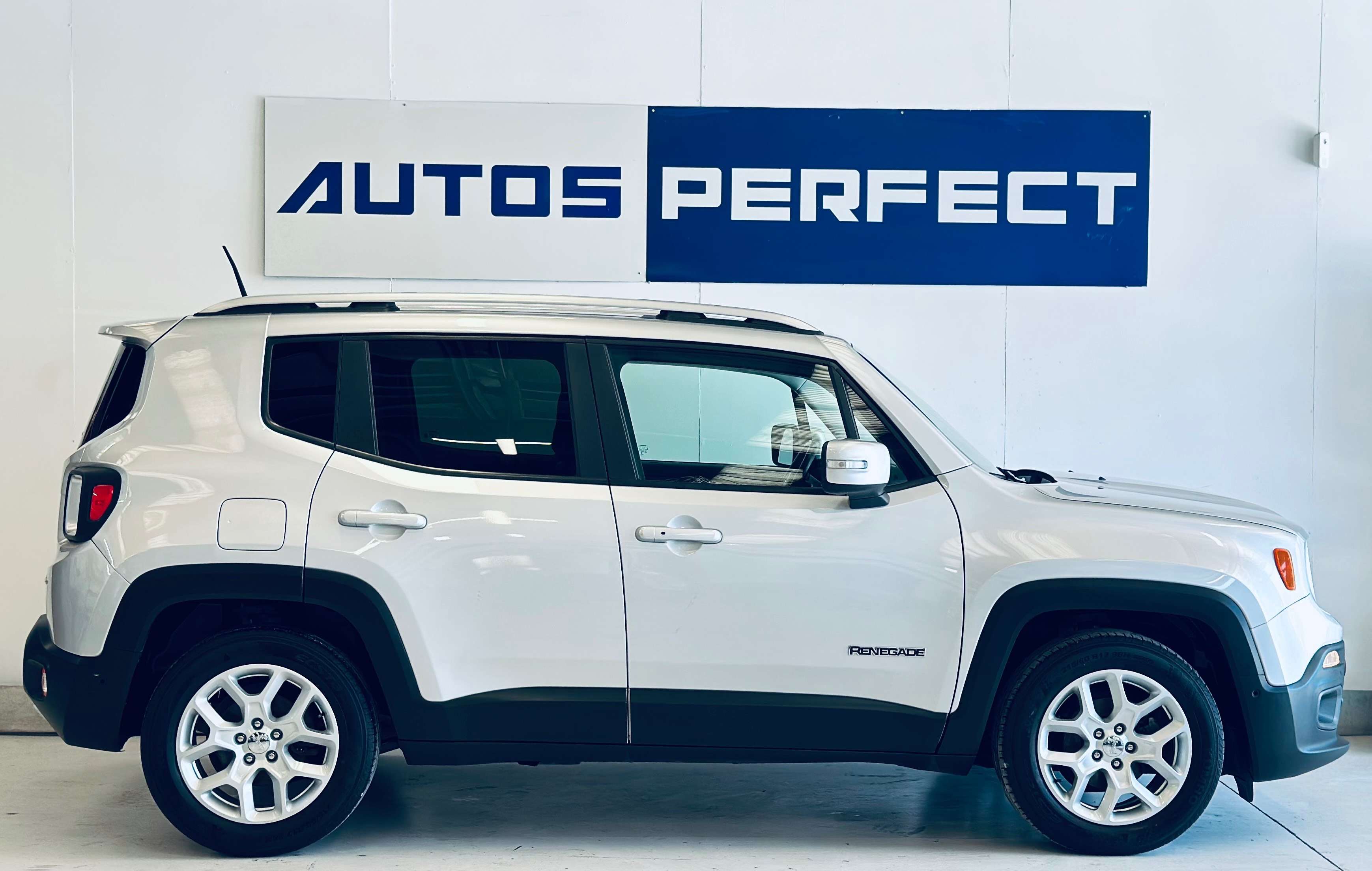 Jeep Renegade 1.6 MJD Limited PDC NAVI CRUISE CLIM BIZONE JA17 ETE