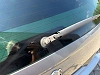 Peugeot 508 SW 1.6 BlueHDi, Toit Panoramique, GPS, Sièges en cuir thumbnail